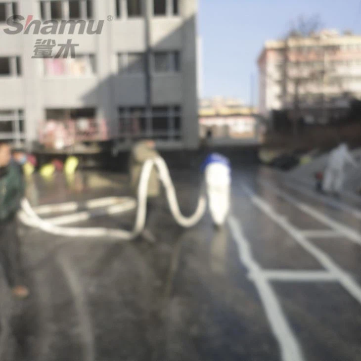 Polyurea For Building Roof